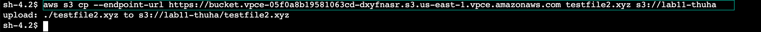 copy file